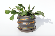 Load image into Gallery viewer, Geometric Snakey Planter #4
